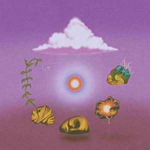 EVOLFO - SITE OUT OF MIND