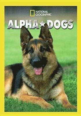ALPHA DOGS - ALPHA DOGS