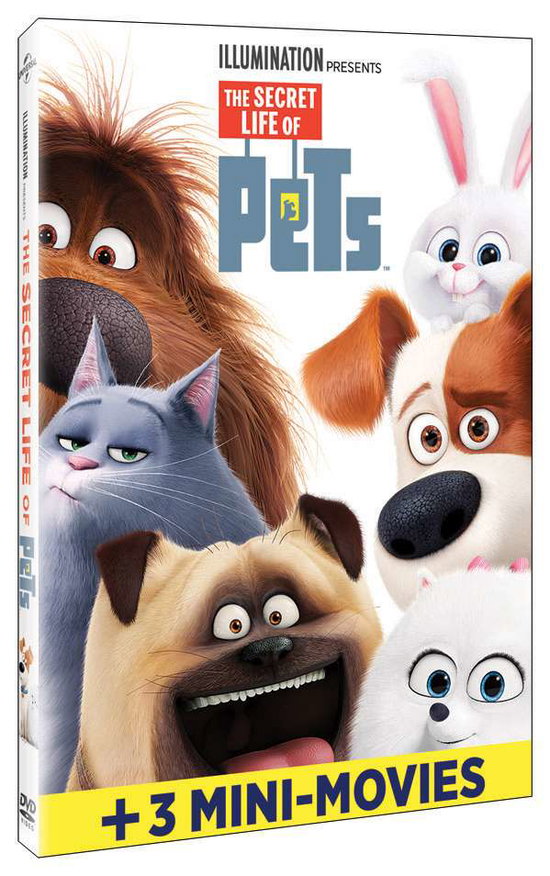 SECRET LIFE OF PETS