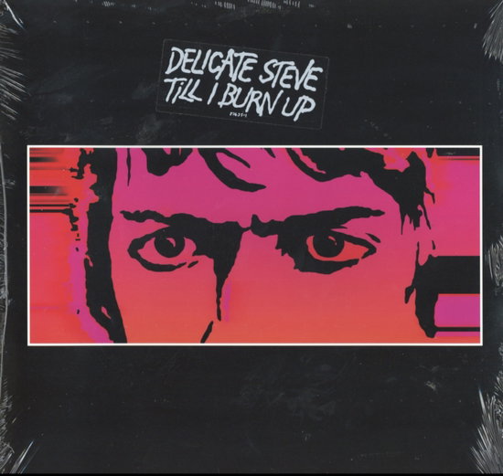 DELICATE STEVE - TILL I BURN UP