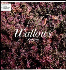 Wallows - Spring EP (x) (pink & Green Vinyl)