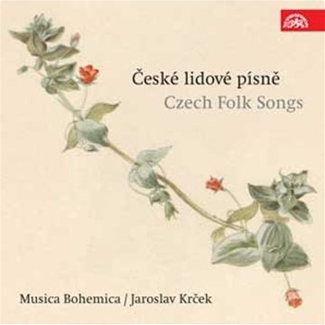 TRADITIONAL - COLOREANDO: TRADITIONAL SONGS