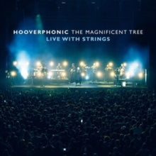 Hooverphonic - Magnificent Tree - Live With Strings