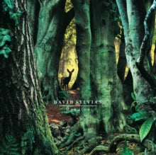 Sylvian,david - Manafon (2lp)