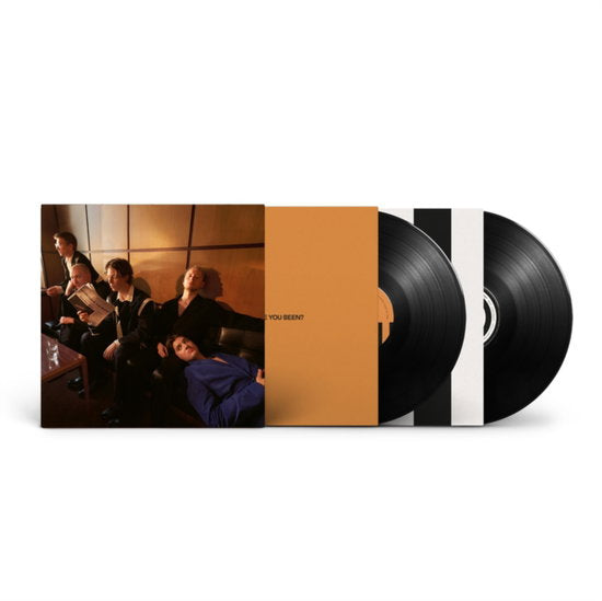 GIANT ROOKS - HOW HAVE YOU BEEN? (2LP/180G)