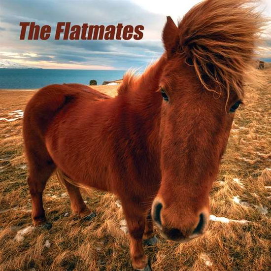 FLATMATES - FLATMATES