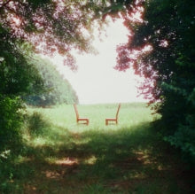 Ratboys - Singin To An Empty Chair (2lp)