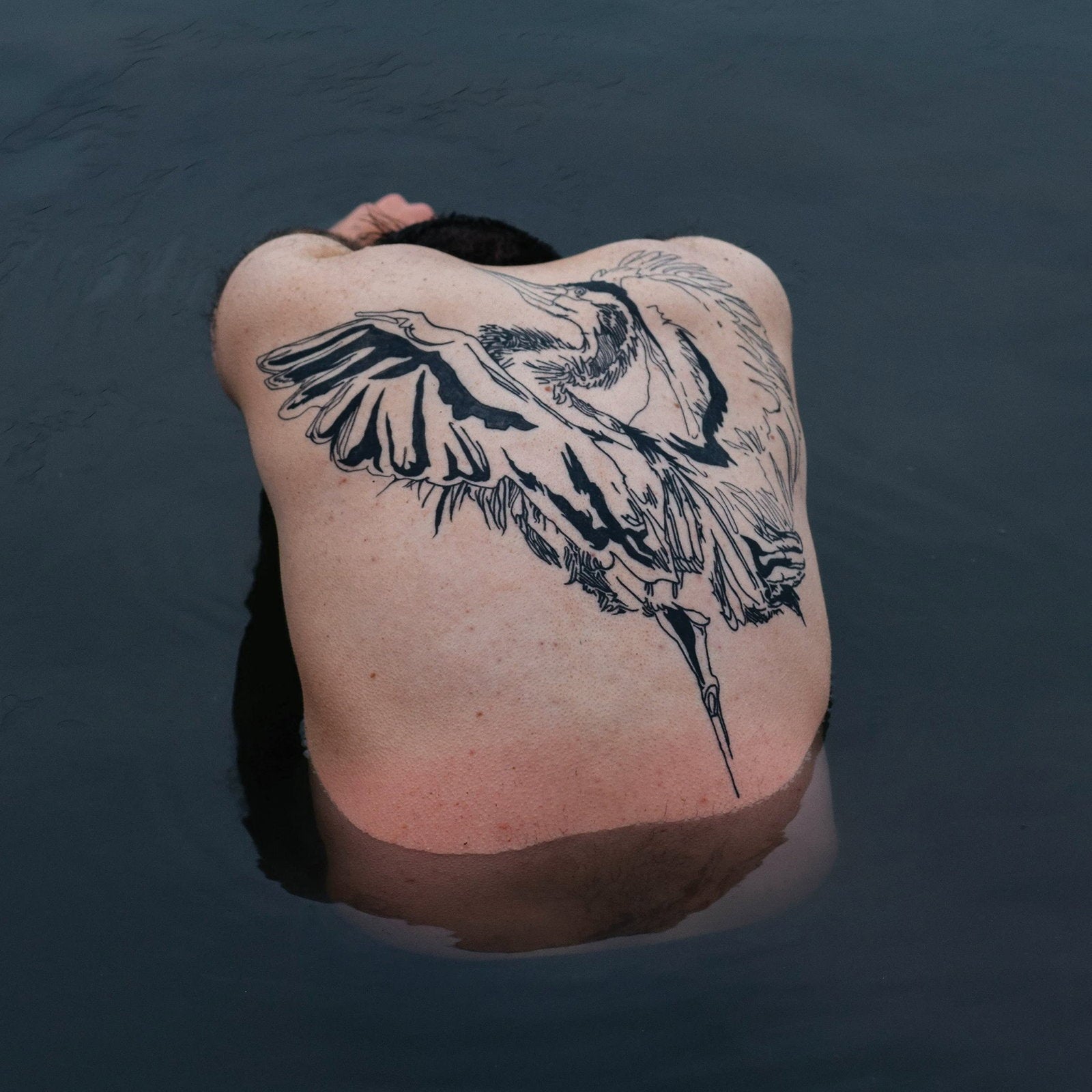 JODI - BLUE HERON