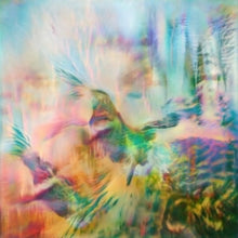 Seahawks - Time Enough For Love