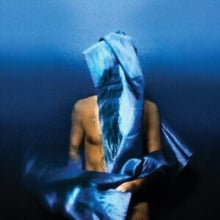 Banhart,devendra - Flying Wig