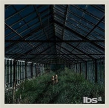 Foxing - Dealer