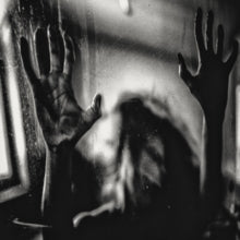 Behind The Shadow Drops - H A R M O N I C