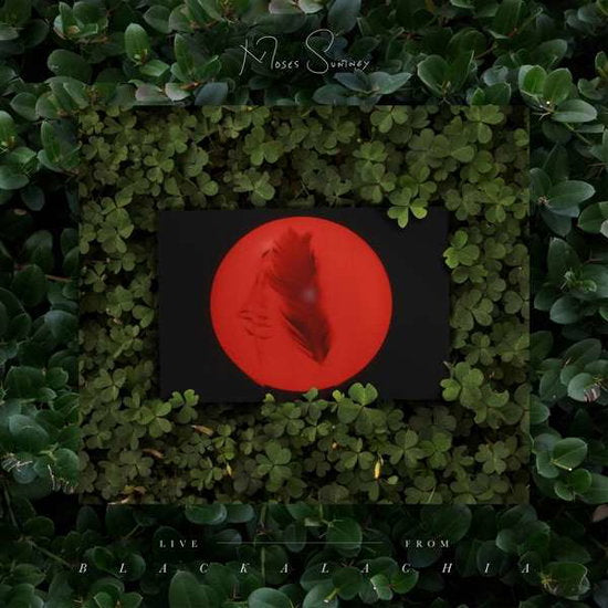 SUMNEY,MOSES - LIVE - FROM BLACKALACHIA (2LP)