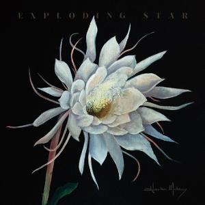 MALONEY,HEATHER - EXPLODING STAR