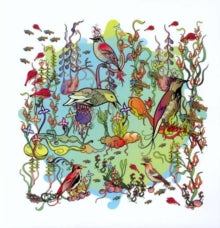 Zorn,john - Dreamers Gentle Side