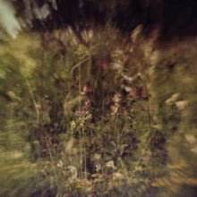 Pluralone - Wile / Remembered (purple 7inch)