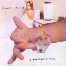 Sonic Youth - Thousand Leaves