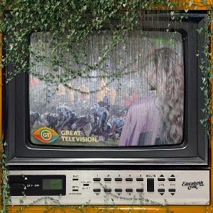 COOK,ELIZABETH - GREAT TELEVISION