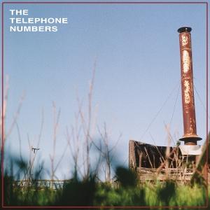 TELEPHONE NUMBERS - SCARECROW II (TRANSPARENT GREENHOUSE VINYL)