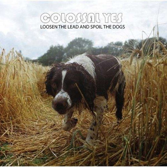 COLOSSAL YES - LOOSEN THE LEAD & SPOIL THE DOGS