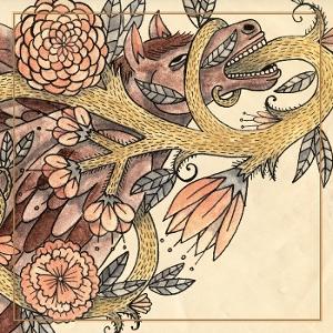 HORSE FEATHERS - WORDS ARE DEAD - REISSUE (DELUXE EDITION/LP/CD)