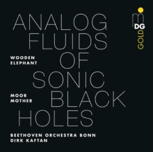 Moor Mother - Analog Fluids Of Sonic Black Holes