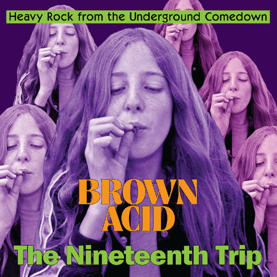 VARIOUS ARTISTS - BROWN ACID - THE NINETEENTH TRIP
