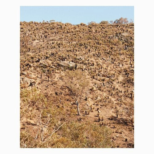 PEKLER,ANDREW & GIUSEPPE IELASI - PALIMPSESTS