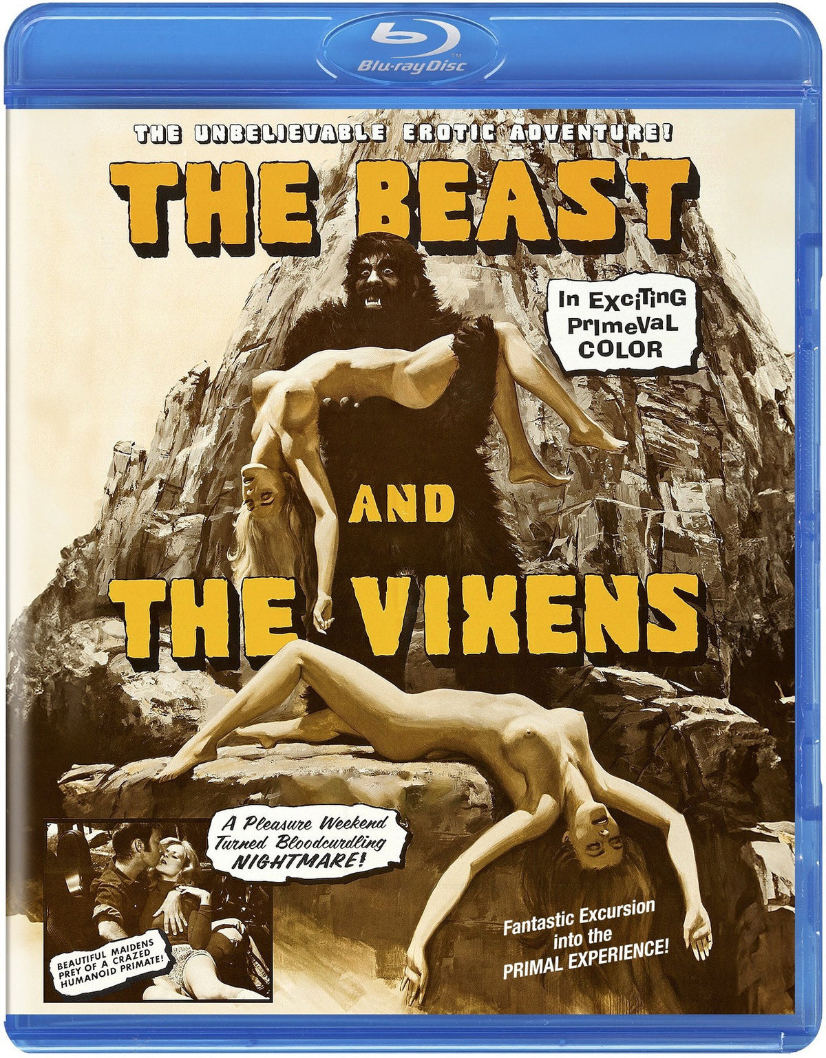 BEAST & THE VIXENS - BEAST & THE VIXENS