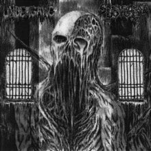 Spectral Voice / Undergang - Spectral Voice / Undergang