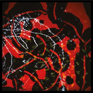 ENO,BRIAN - NERVE NET (2LP/GATEFOLD/DL)