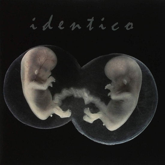 SAD LOVERS AND GIANTS - IDENTICO