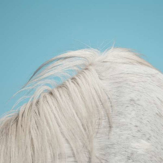 WIDOWSPEAK - ALL YOURS