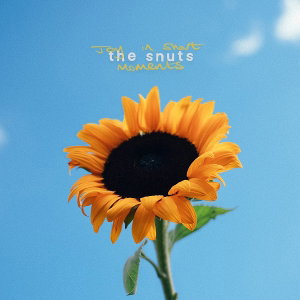 SNUTS - JOY IN SHORT MOMENTS