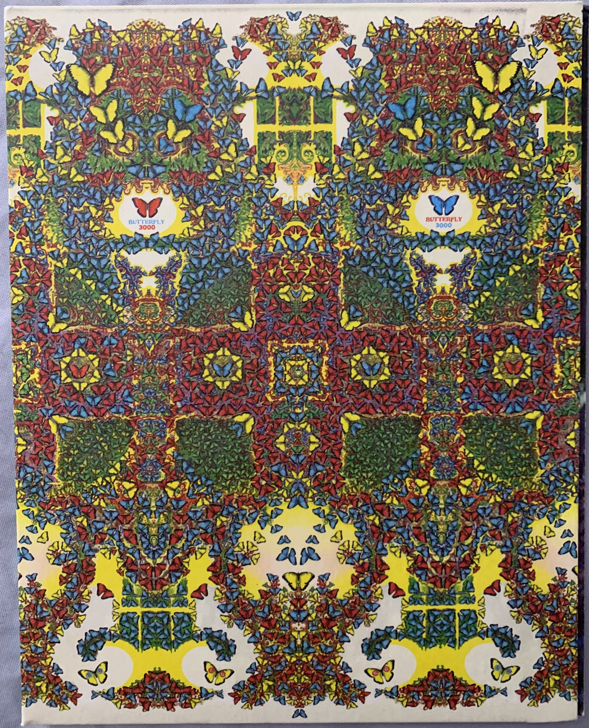 KING GIZZARD & THE LIZARD WIZARD - BUTTERFLY 3000 (OCULAR EDITION)