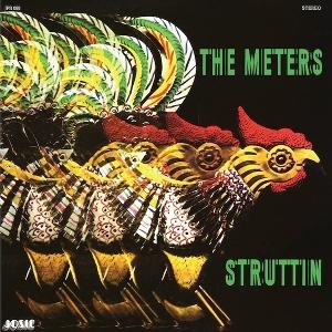 METERS - STRUTTIN