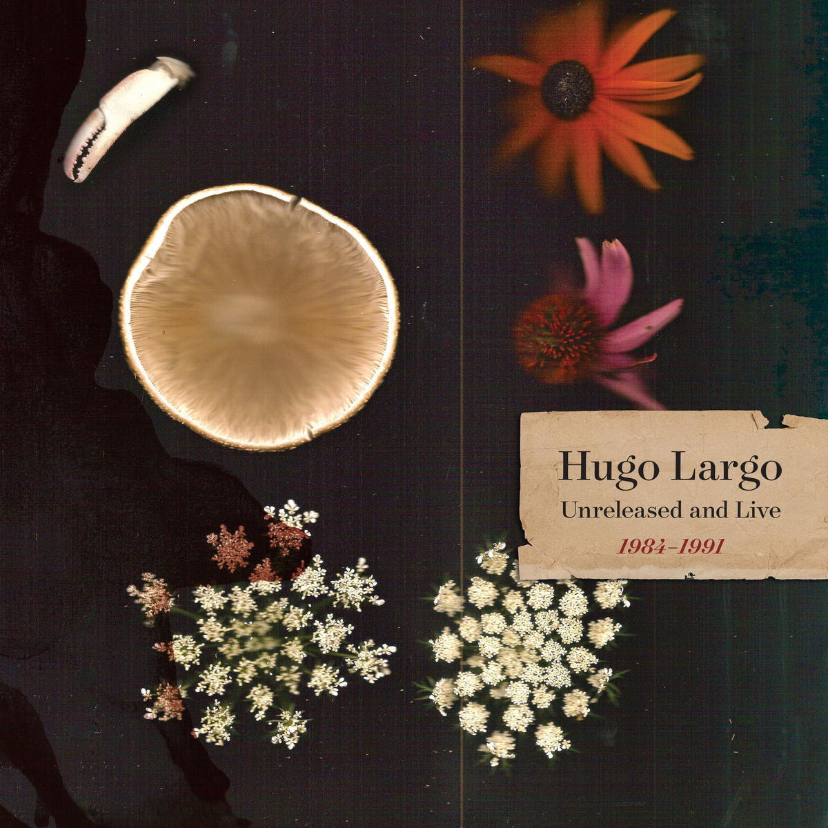HUGO LARGO - HUGE, LARGE & ELECTRIC: HUGO LARGO 1984-1991 (3LP)
