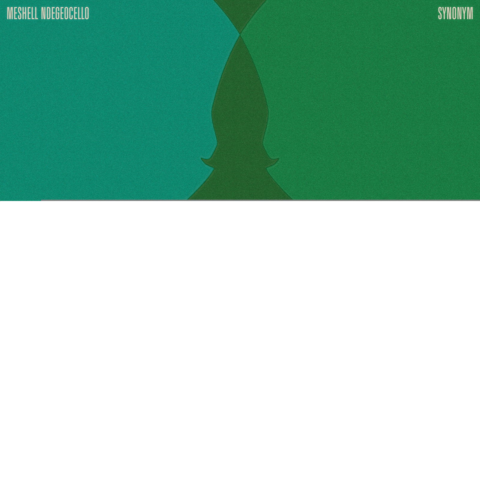 NDEGEOCELLO,MESHELL - SYNONYM