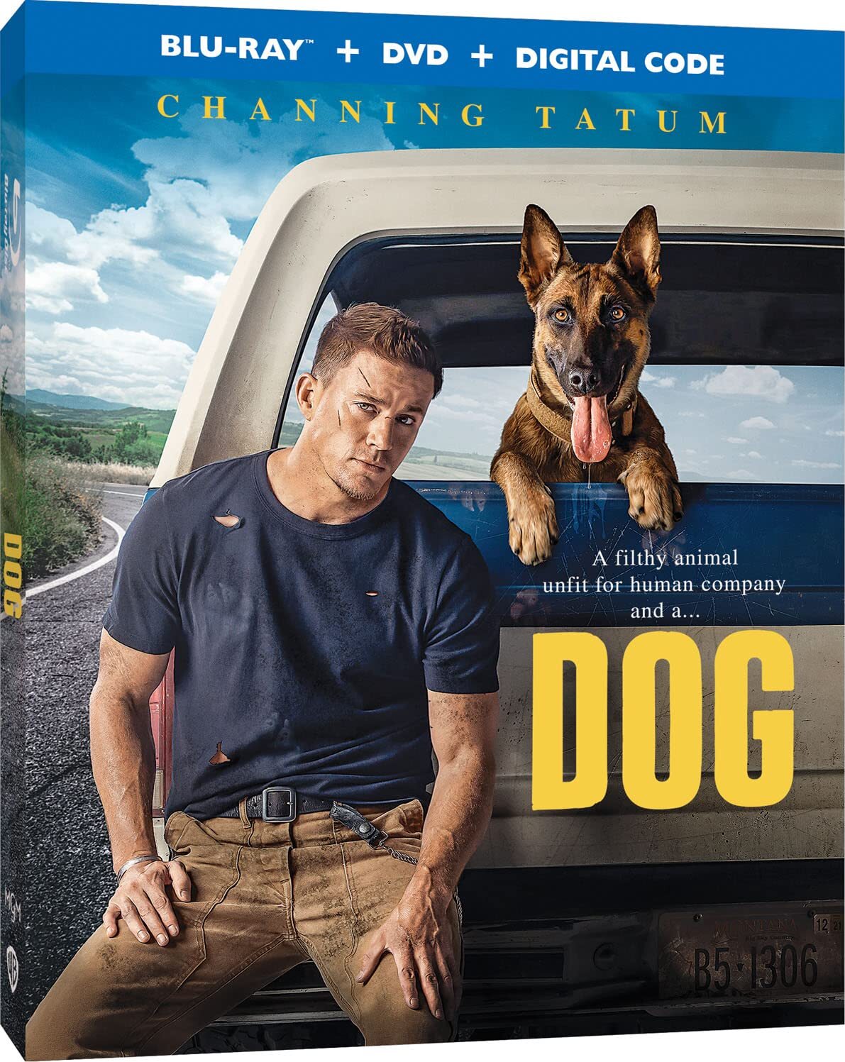 DOG - DOG