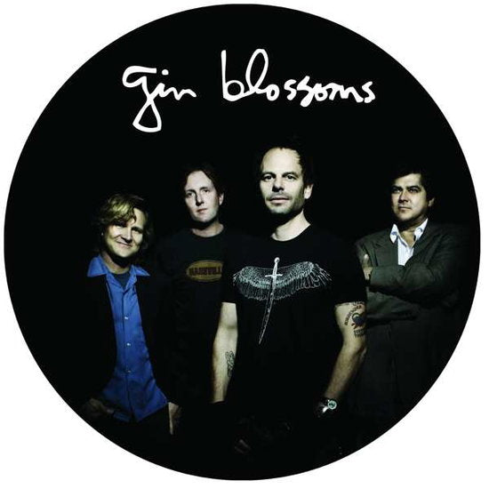 GIN BLOSSOMS - LIVE IN CONCERT
