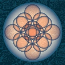Embryo - Auf Auf
