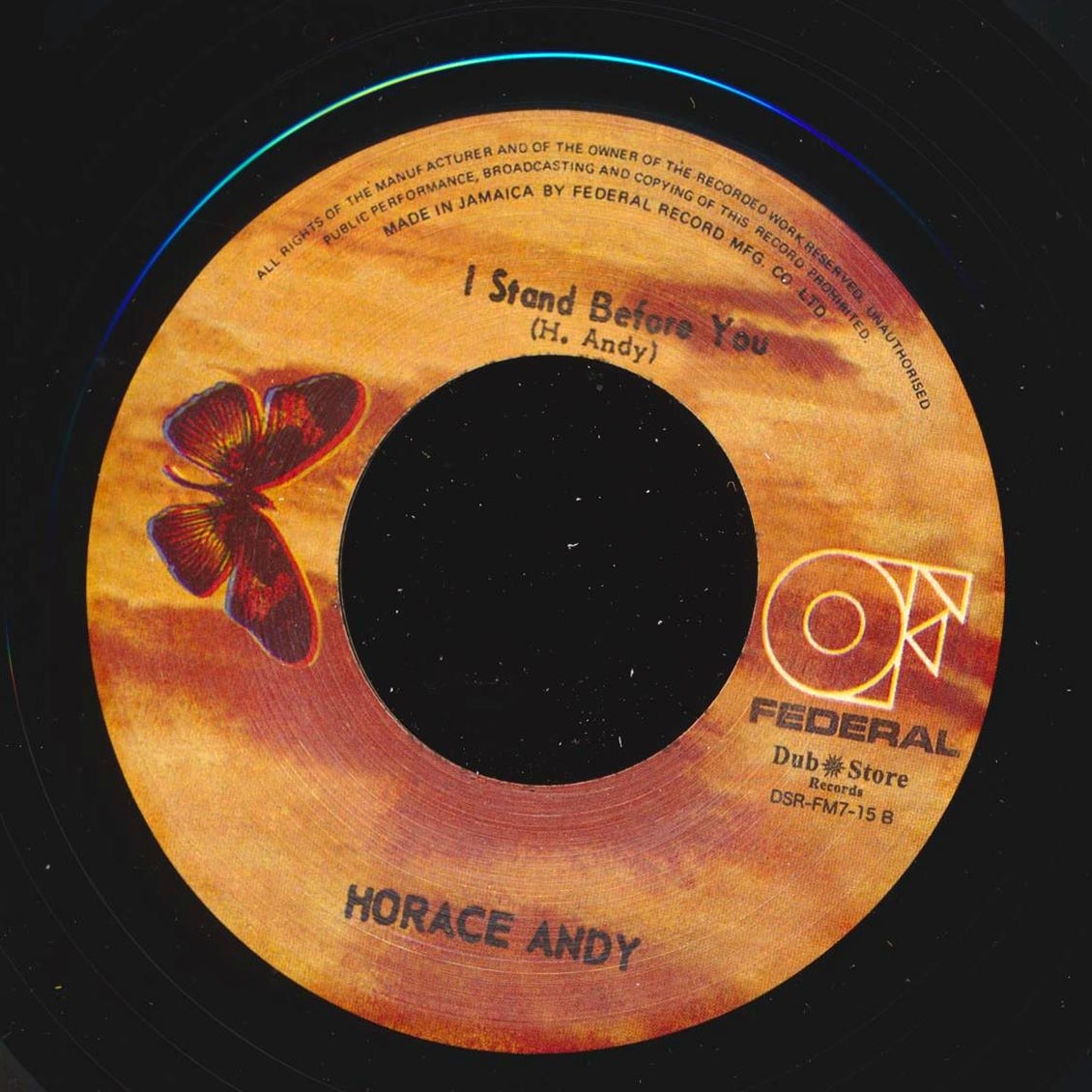 Horace Andy - Unity, Love & Strength / Horace Andy - I Stand Before You (Japan) (Japan press)