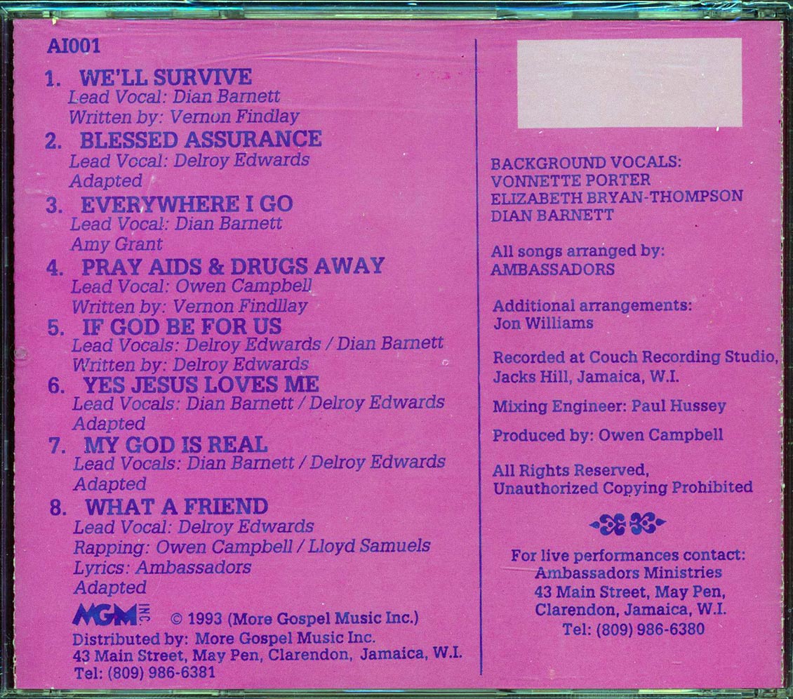 The Ambassadors - We'll Survive