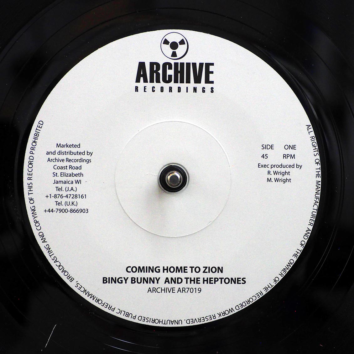 Bingy Bunny - Coming Home To Zion / Version (UK press)