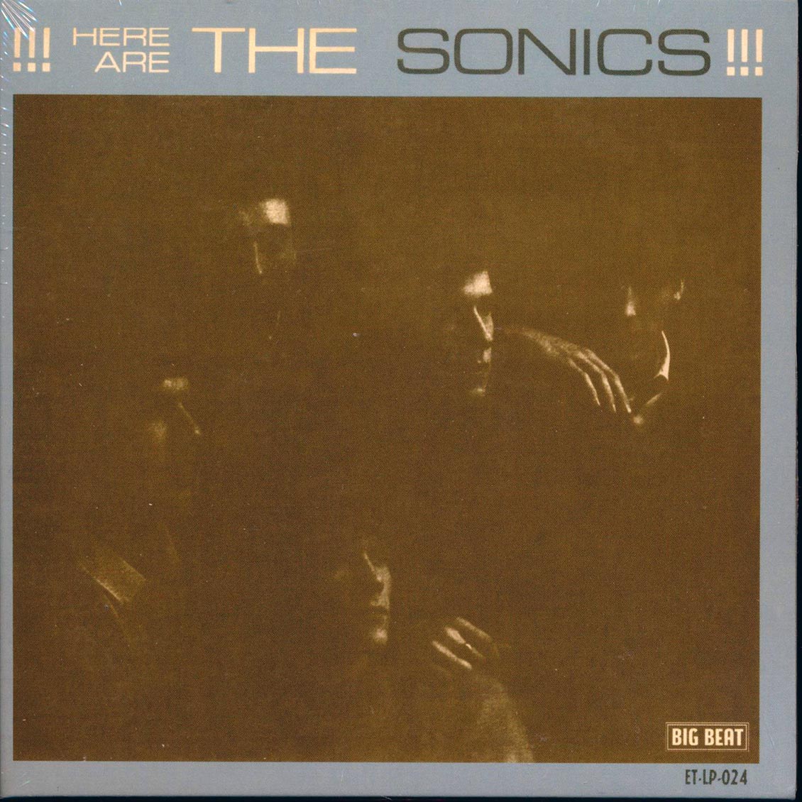 The Sonics - Here Are The Sonics