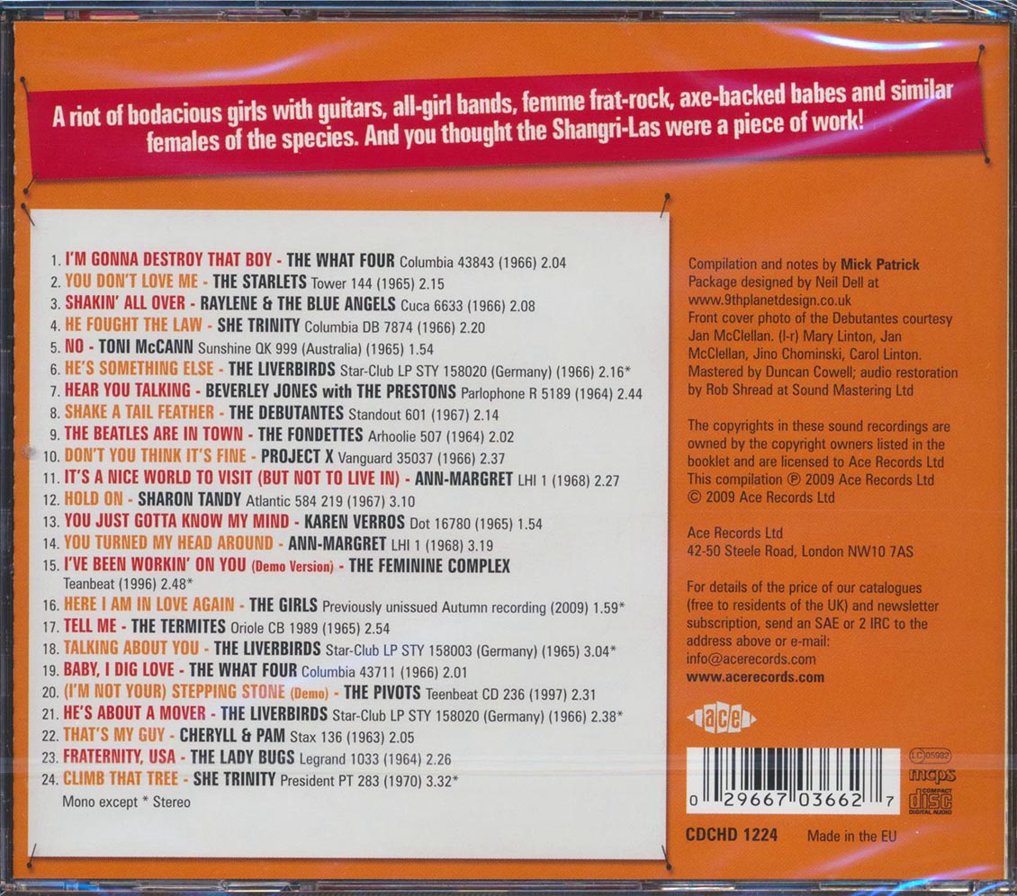 Various - Destroy That Boy: More Girls With Guitars (24 tracks)