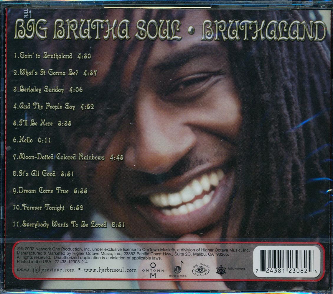 Big Brutha Soul - Bruthaland