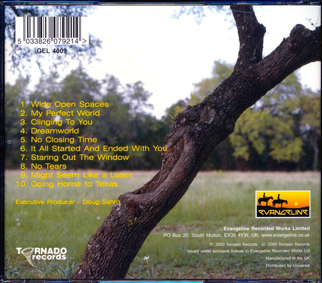 Ed Burleson - My Perfect World