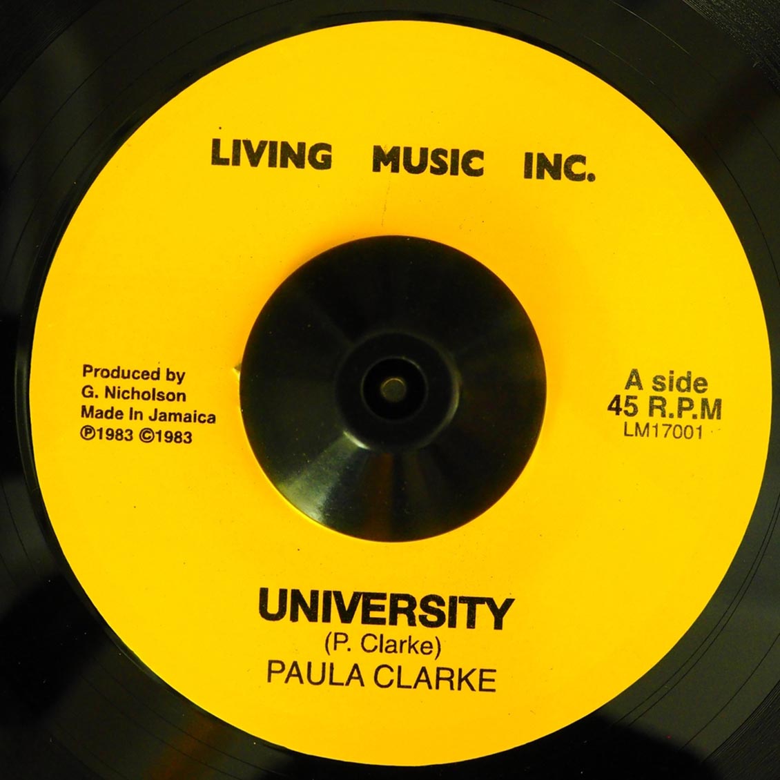 Paula Clarke - University / Version