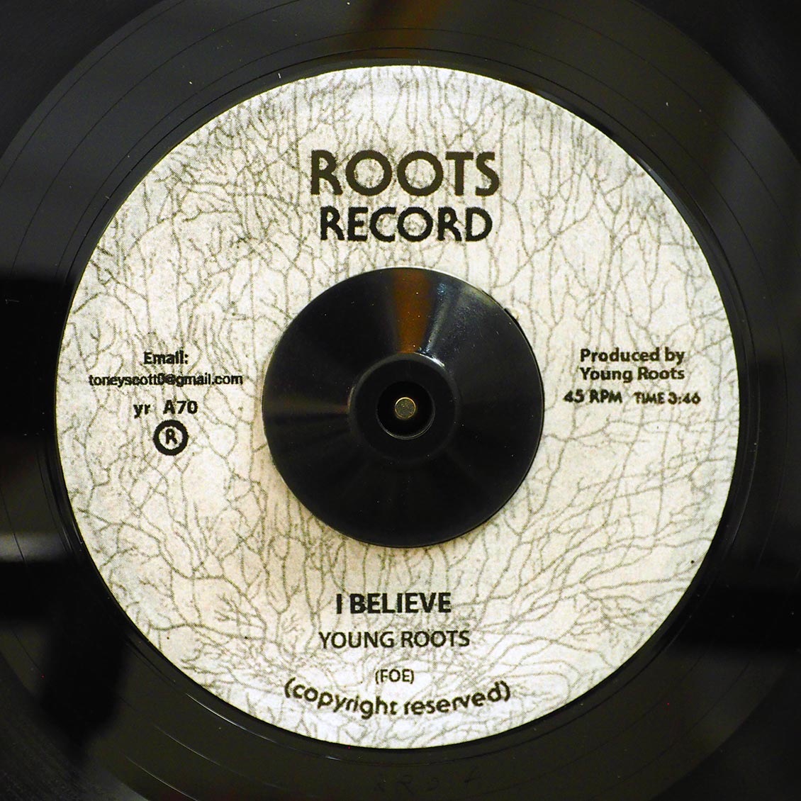 Young Roots - I Believe / Version